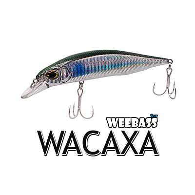 WEEBASS LURE (เหยื่อปลั๊ก) - รุ่น WACAXA FLOATING