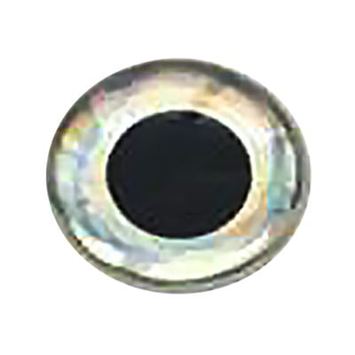 WEEBASS ตาติดเหยื่อ - รุ่น JY-15001 , 5.0mm ( PRISM SILVER )