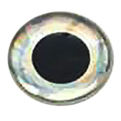 WEEBASS ตาติดเหยื่อ - รุ่น JY-15001 , 5.5mm ( PRISM SILVER )