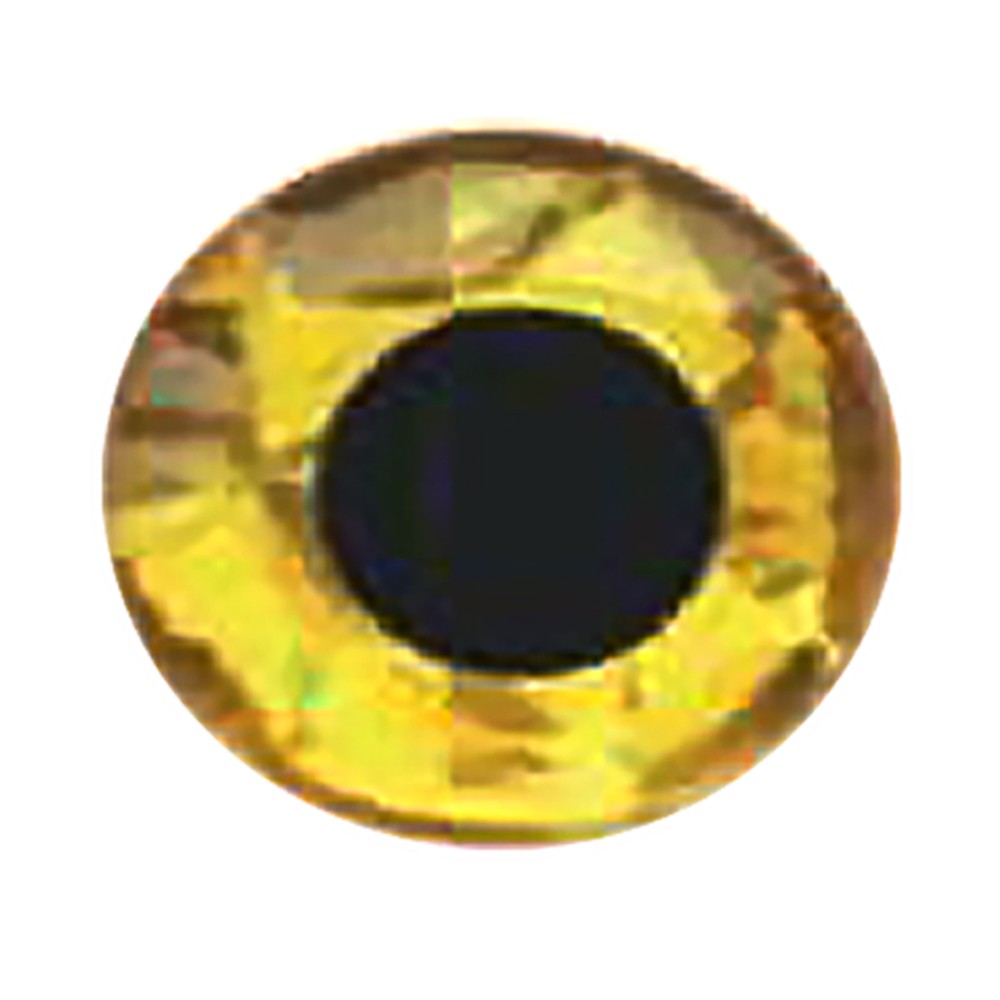 WEEBASS ตาติดเหยื่อ - รุ่น JY-15003 , 5.5mm ( PRISM GOLD )