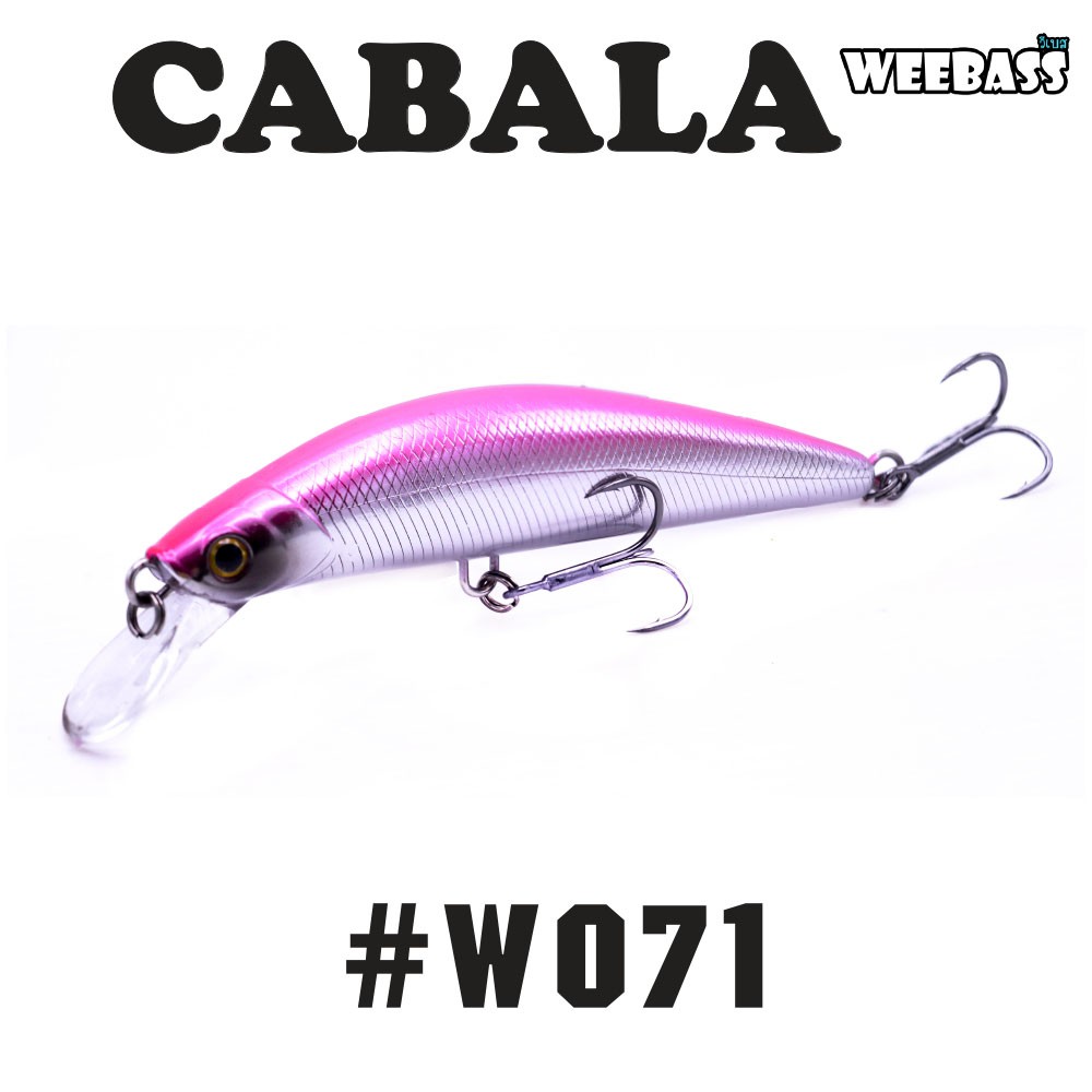 WEEBASS LURE (เหยื่อปลั๊ก) - รุ่น CABALA SINKING 105mm/41g (W071)