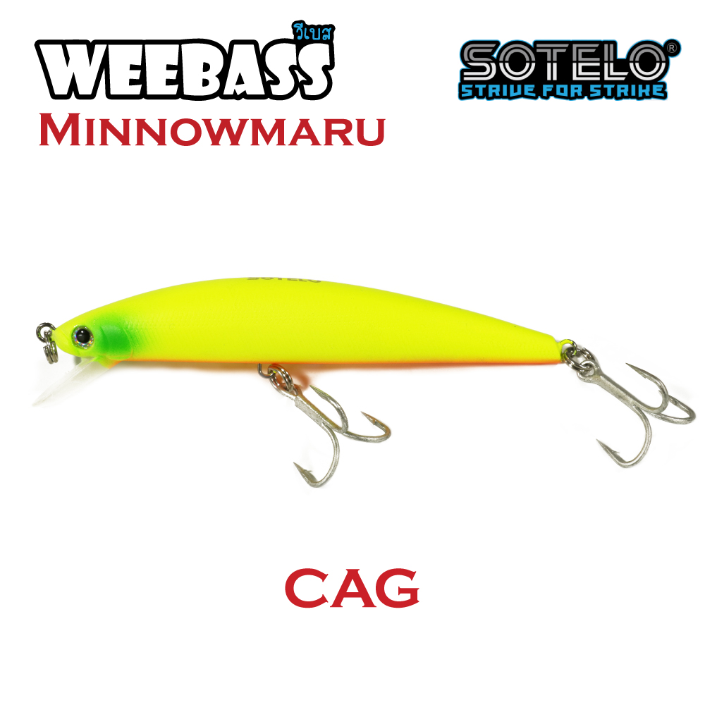 SOTELO - รุ่น MINNOWMARU M31 (110mm) CAG