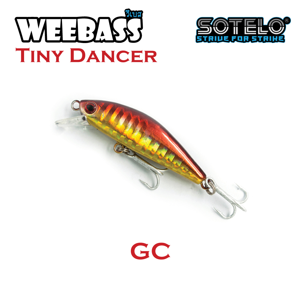 SOTELO - รุ่น TINY DANCER M9968 (50mm) GC