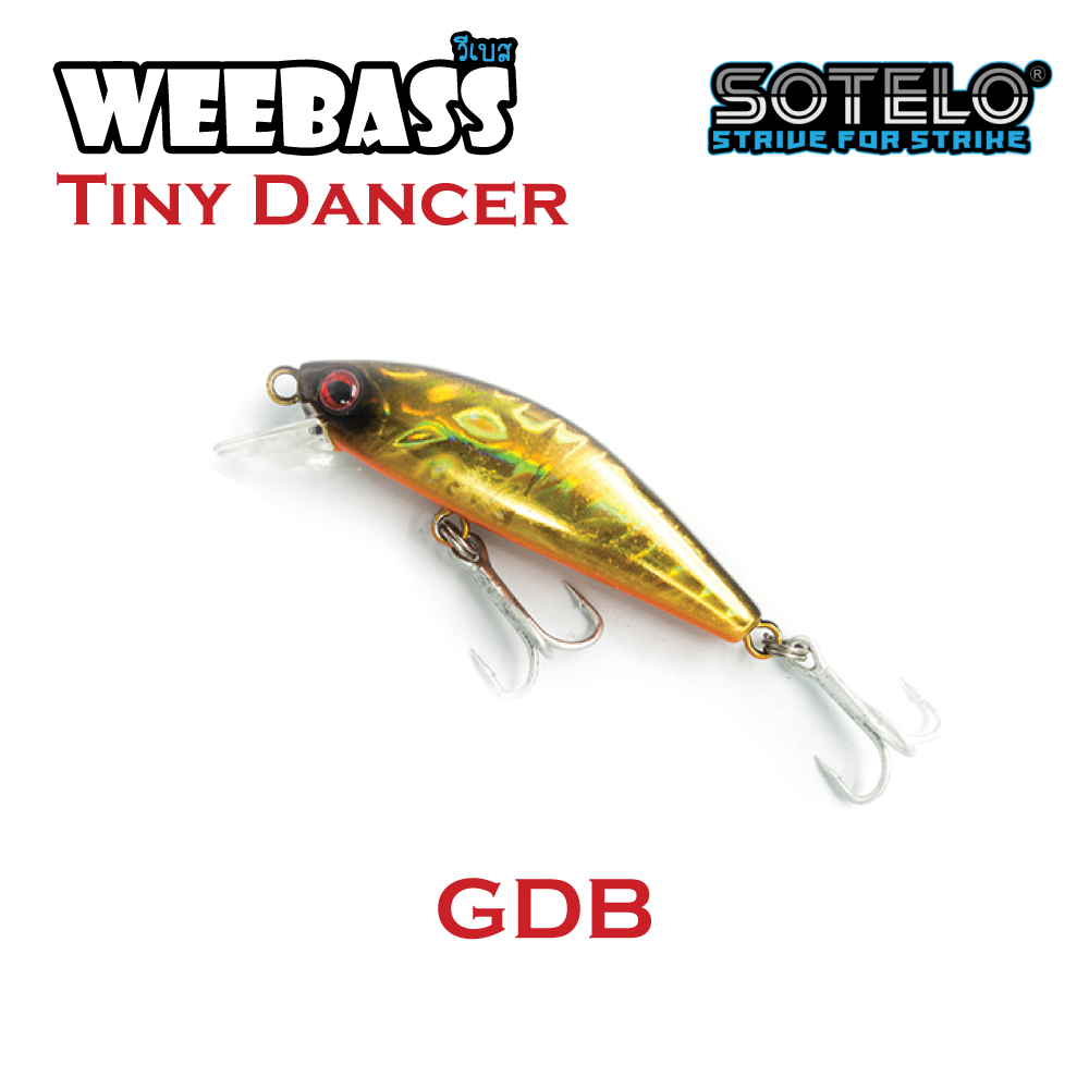 SOTELO - รุ่น TINY DANCER M9968 (50mm) GDB