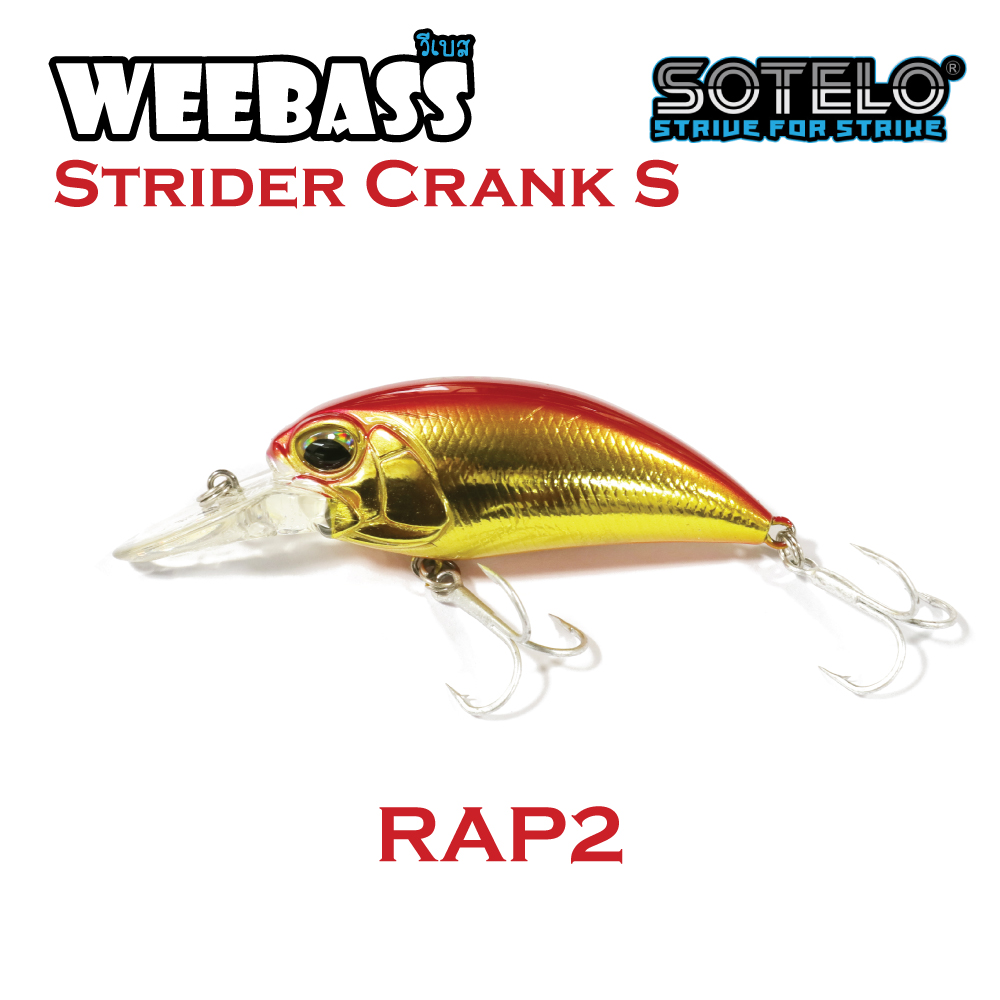 SOTELO - รุ่น STRIDER CRANK S C60 (66mm) RAP2