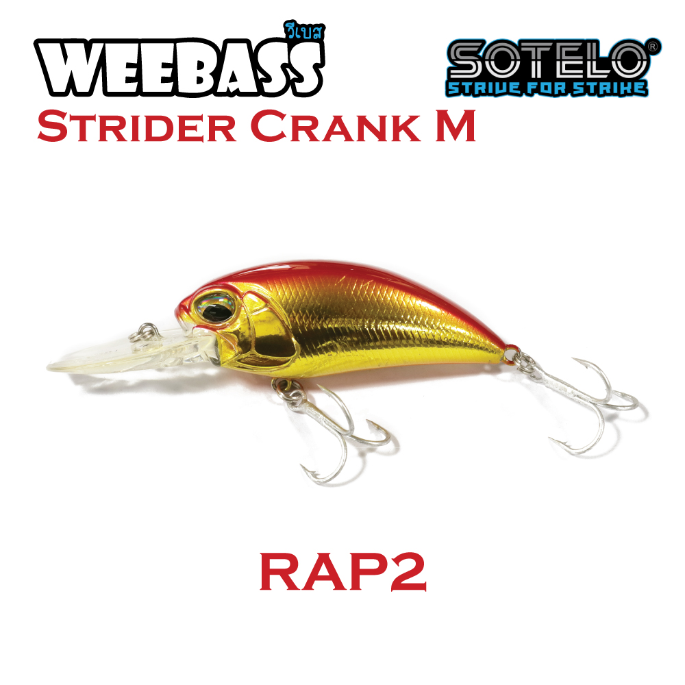 SOTELO - รุ่น STRIDER CRANK M C60A (66mm) RAP2