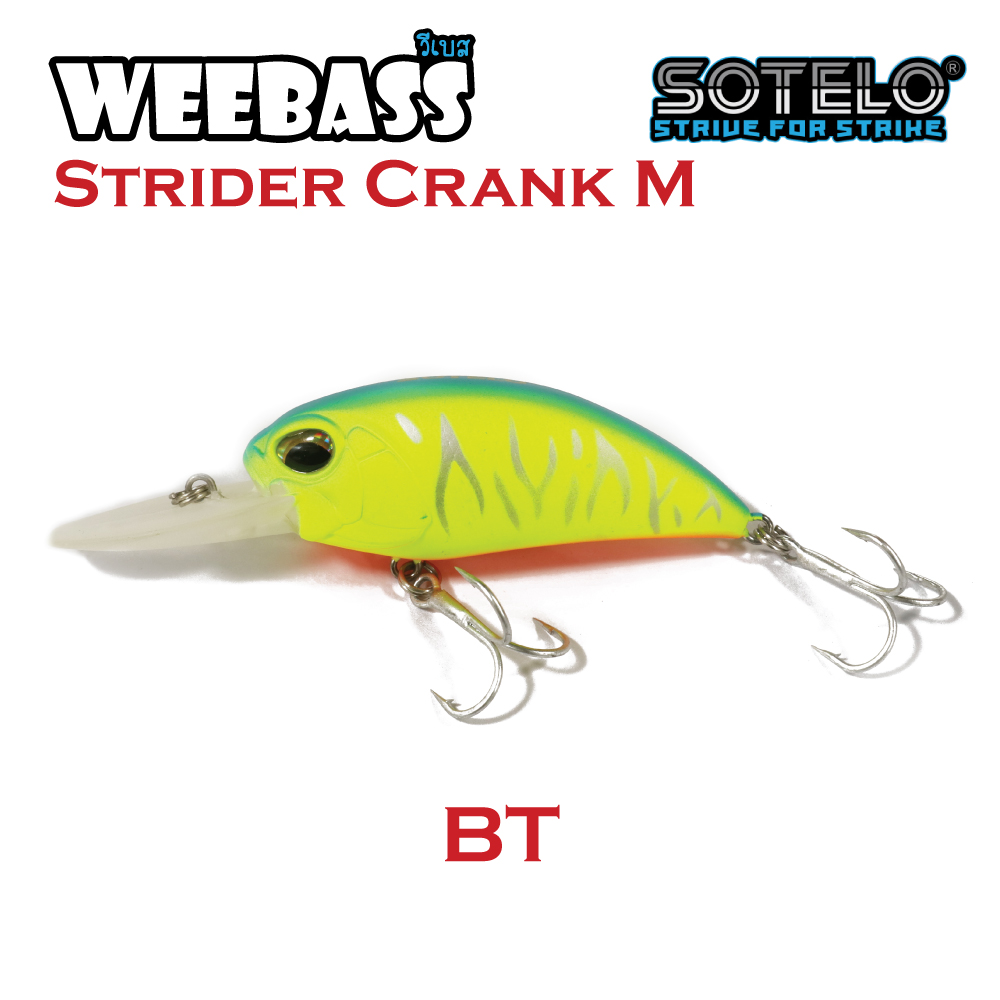 SOTELO - รุ่น STRIDER CRANK M C60A (66mm) BT