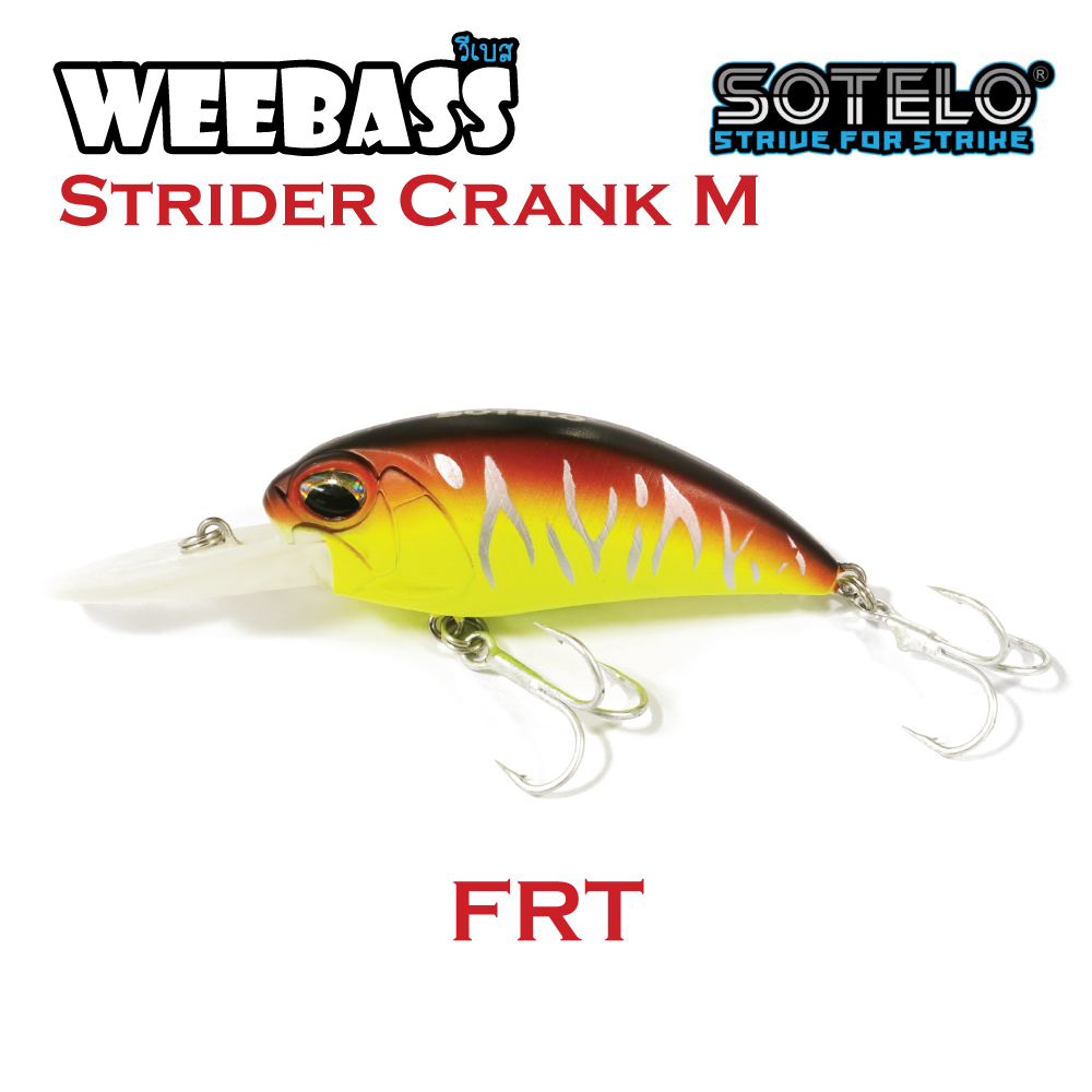 SOTELO - รุ่น STRIDER CRANK M C60A (66mm) FRT