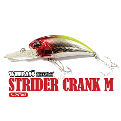 SOTELO - รุ่น STRIDER CRANK M