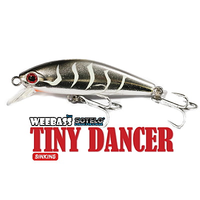 SOTELO - รุ่น TINY DANCER